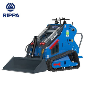 RS03 Briggs and Stratton engine